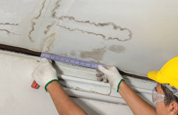 Reliable Basement Water Removal contractor in West Des Moines, IA by Water Damage Irwin